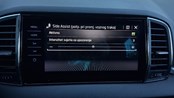 RABLJENO VOZILO ŠKODA KAROQ CLEVER 2,0 TDI AT Automatski mjenjač DIESEL 100244